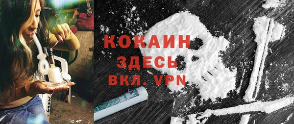 кокс Арсеньев
